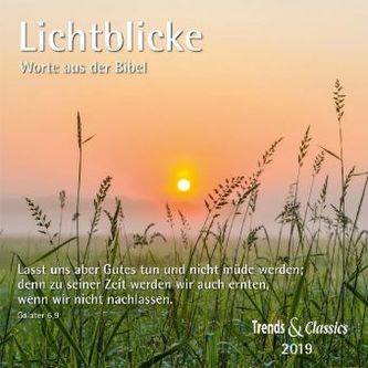 Lichtblicke 2019