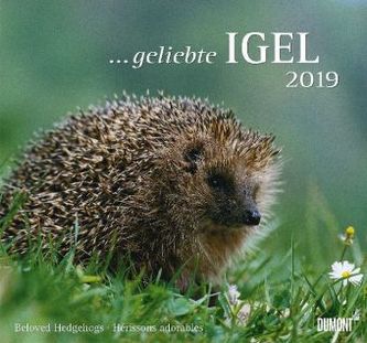 ... geliebte Igel 2019