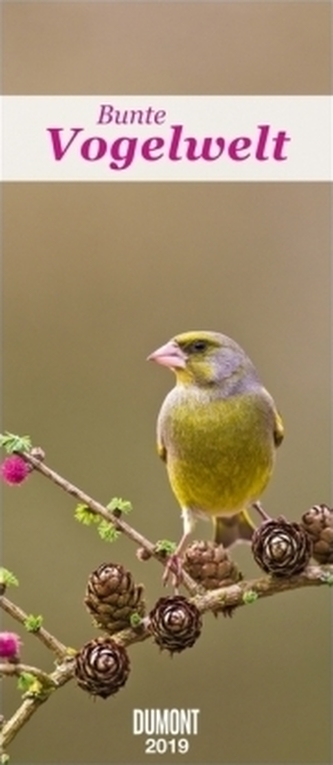 DuMonts Bunte Vogelwelt 2019