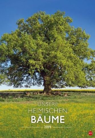 Unsere heimischen Bäume 2019