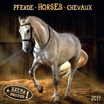 Pferde / Horses / Chevaux 2019