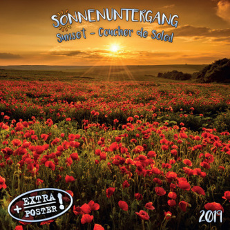 Sonnenuntergang / Sunset / Coucher de soleil 2019