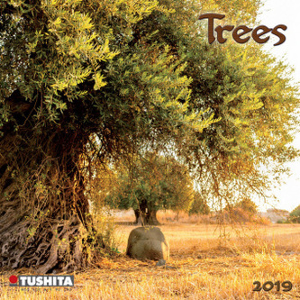 Trees 2019