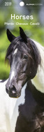 Pferde 2019 - Lesezeichenkalender