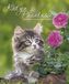 Katzen-Phantasie 2019