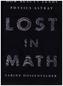 Lost in Math