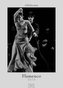 Flamenco 2019