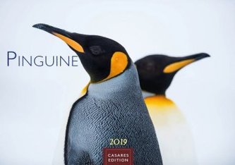 Pinguine 2019