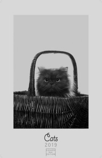 Cats 2019