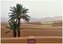 Sahara 2019
