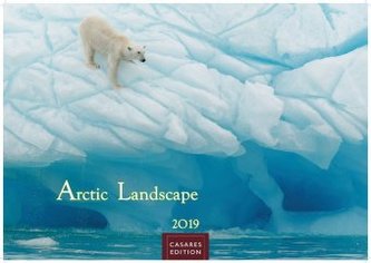 Arctic Landscape 2019