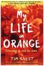 My Life in Orange