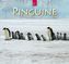 Pinguine 2019