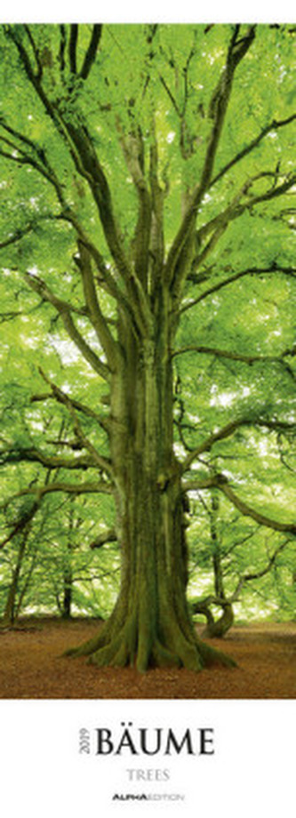 Bäume 2019