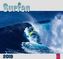 Surfen 2019