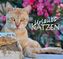 Urlaubs-Katzen 2019