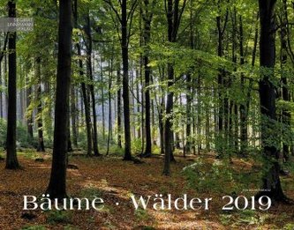 Bäume - Wälder 2019