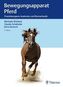 Bewegungsapparat Pferd