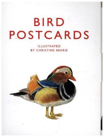 Bird Postcards