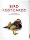 Bird Postcards