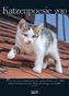 Katzenpoesie 2019