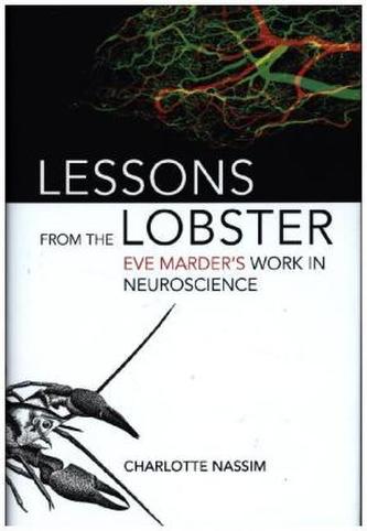 Lessons from the Lobster