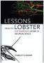 Lessons from the Lobster