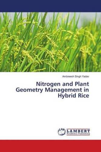 Nitrogen and Plant Geometry Management in Hybrid Rice