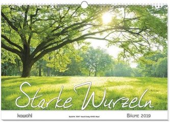 Starke Wurzeln 2019