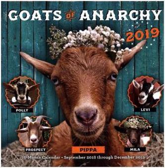 Goats of Anarchy 2019