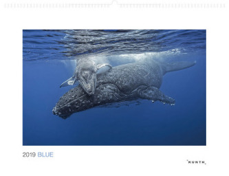 Blue 2019