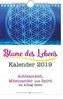 Blume des Lebens 2019