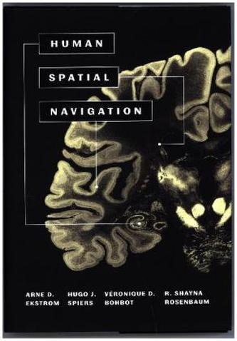 Human Spatial Navigation