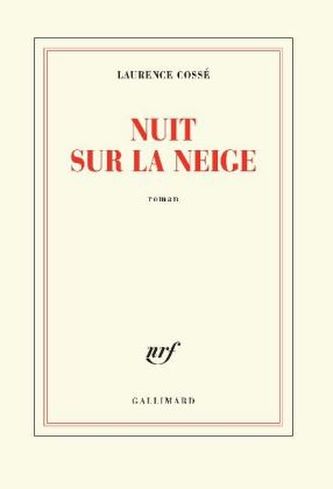 Nuit sur la neige