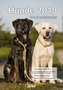 Hunde 2019