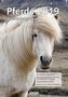 Pferde 2019