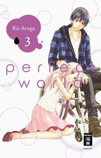 Perfect World. Bd.3