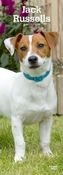 Jack Russells 2019