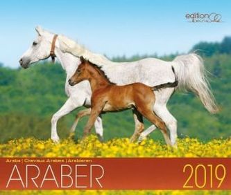 Edle Araber 2019