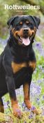 Rottweilers 2019
