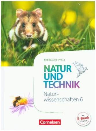 6. Schuljahr: Naturwissenschaften - Schülerbuch