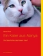 Ein Kater aus Alanya