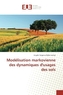 Modélisation markovienne des dynamiques d'usages des sols