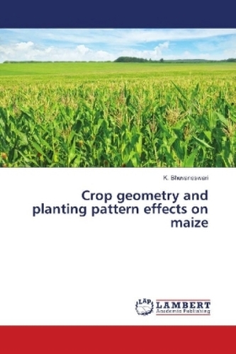 Crop geometry and planting pattern effects on maize