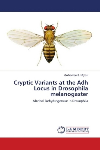 Cryptic Variants at the Adh Locus in Drosophila melanogaster