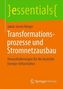 Transformationsprozesse und Stromnetzausbau