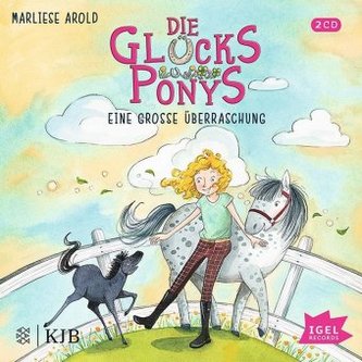Die Glücksponys - Eine große Überraschung, 2 Audio-CDs