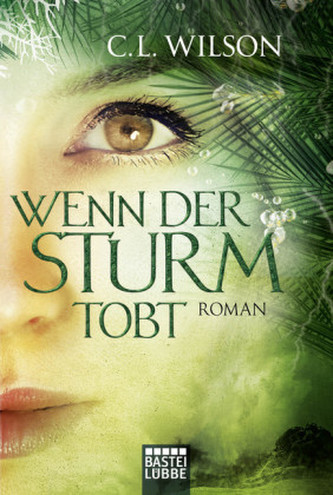 Wenn der Sturm tobt