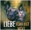 Liebe verfliegt nicht