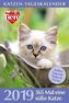 Katzen-Tageskalender 2019